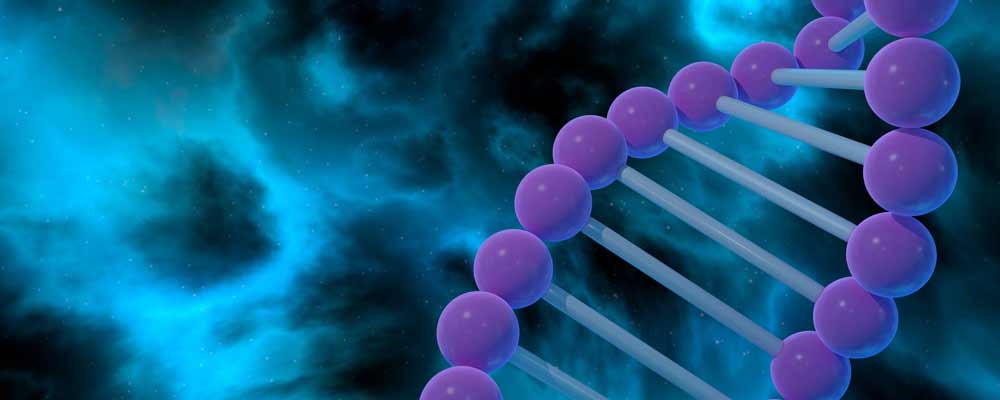 If tests on animals continue to be successful, gene editing could be the long-awaited cure for cancer, AIDS and many other diseases.