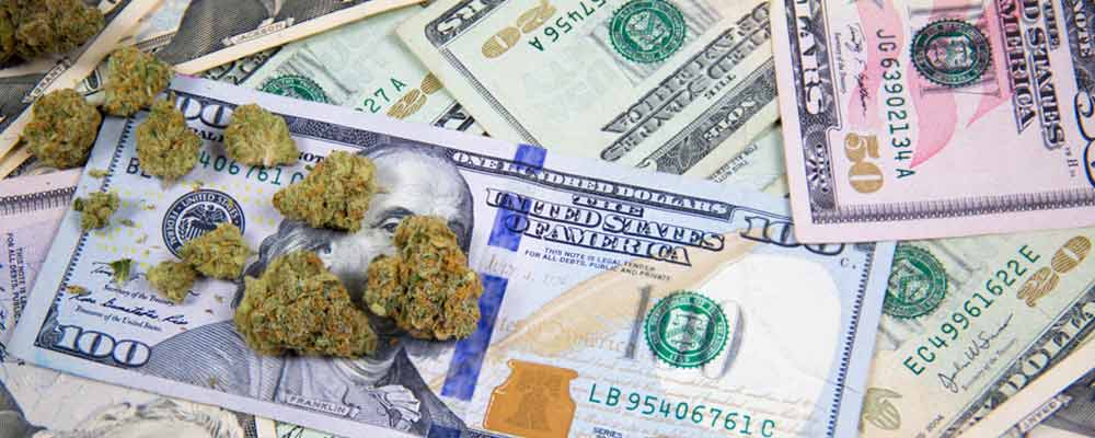After I saw how marijuana stocks reacted to the Jeff Sessions announcement, it has me convinced the movement is here to stay, and apparently, more people in general are jumping on the bandwagon.