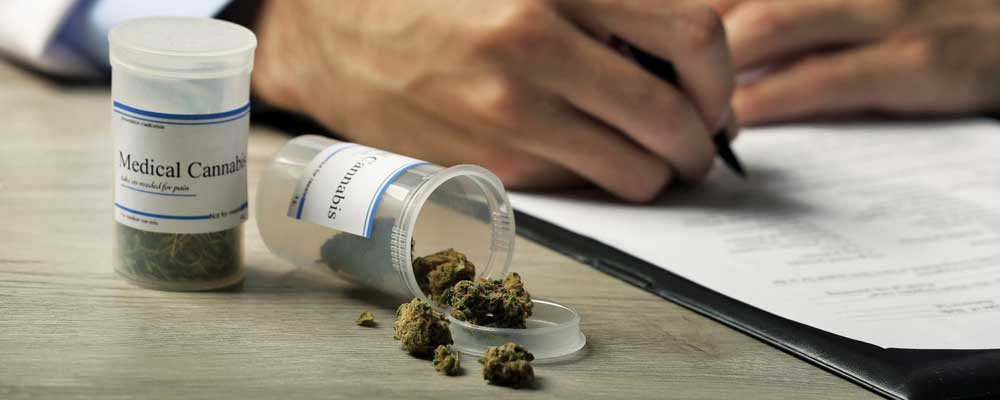 2 Ways to Trade the Marijuana Industry