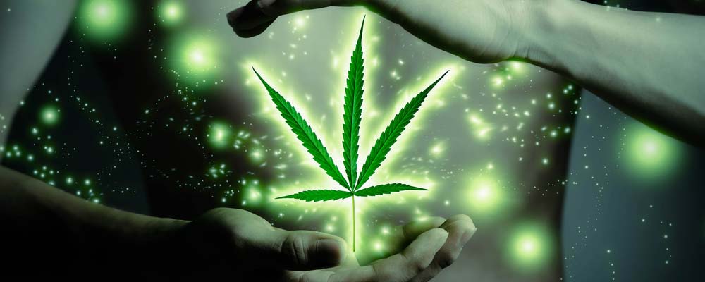 Every year more states are opening up to the use of cannabis. And last week, the push for medical marijuana hit another huge milestone.