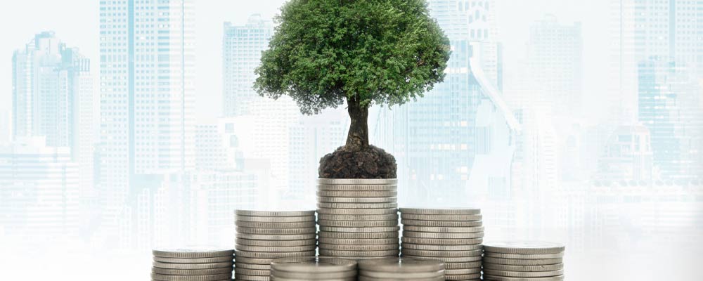 MSCI Cheap Stock