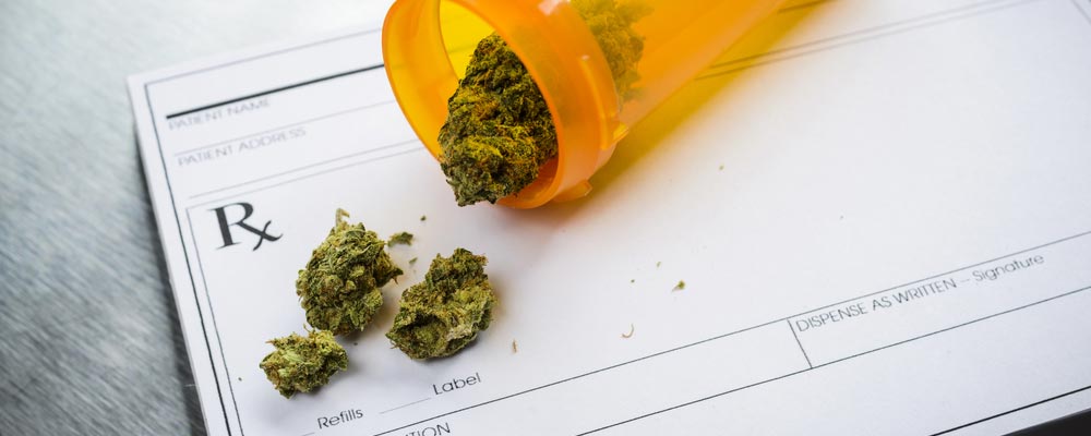 Marijuana’s First U.S. IPO: Planting The Seed for The Future