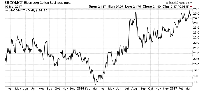 Cotton plants are useful for a multitude of things. And right now, cotton fiber is in a bull market, with room for us to make money.