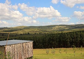 If you’ve never relocated to another country, the process can be intimidating. But the fact is … for Uruguay, it doesn’t need to be intimidating.