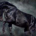 Today, I’m going to suggest a “dark horse” for a potentially bullish tech opportunity for 2019 … though, it may take a while for this position to fully develop.