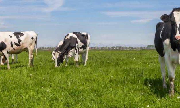 Modern Monetary Theory: Debt’s New Justification