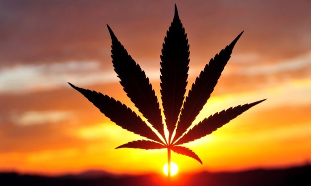 Don’t Fall Behind on the Cannabis Rally — MJ ETF Is the Stock to Buy