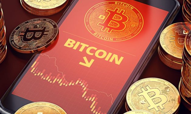 Why You Should Not Hedge Your Portfolio With Bitcoin