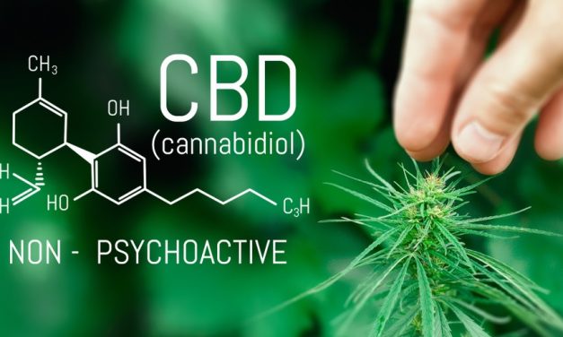 1 Cannabis Trend to Watch in 2019