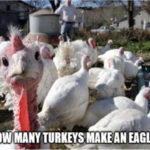 Great Stuff 06-25-2019