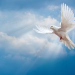 The market tells the Fed what it should be doing, not vice versa. That’s how it maintained transparency after the global financial crisis.