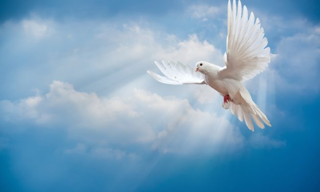 The Fed Is Now Dovish — Why the Markets Haven’t Really Changed