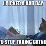 catnip meme
