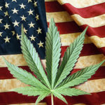 Right now, there’s only one federally licensed pot grower. That’s about to change.