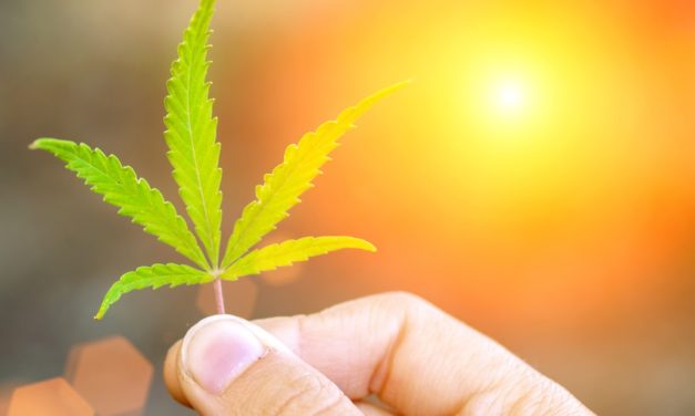 A Critical Moment in Cannabis Stocks — Why You Need to Get In Now