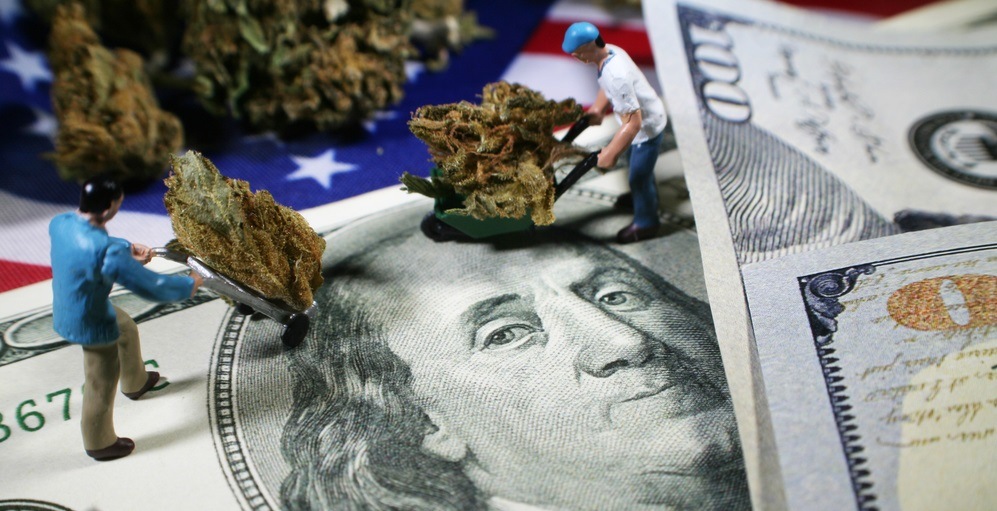 Pot Stock Are Falling