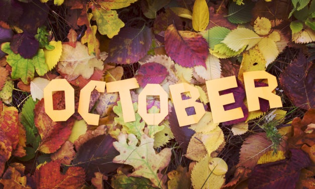 Purchase This Option in October for Massive Profits