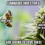 Cannabis stocks, like Aurora Cannabis (ACB), havee been unjustly hammered over this vaping disease. That means profits for those who invest wisely now.