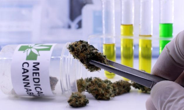 1 Medical Marijuana Stock: Your Ticket to a Billion-Dollar Market