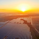 Solar stock and solar field