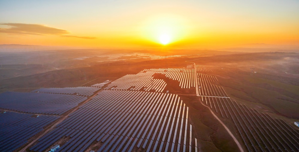 Solar stock and solar field