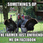 Happy Thanksgiving from Great Stuff!