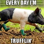 While you contemplate Chinese pork, Great Stuff will take a holiday break.