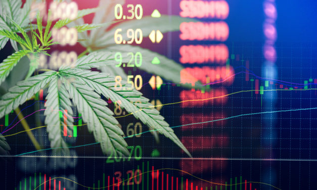 Boom-Bust Update — Time to Get Into Cannabis