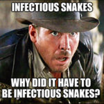 The Wuhan virus locks down the market rally with a snake surprise. Don’t panic! We’ve got you covered.