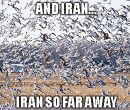 Is this the start of a new trading cycle on Wall Street? Stay tuned for the Iran War Cycle.