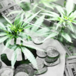 2020 Cannabis Market Report