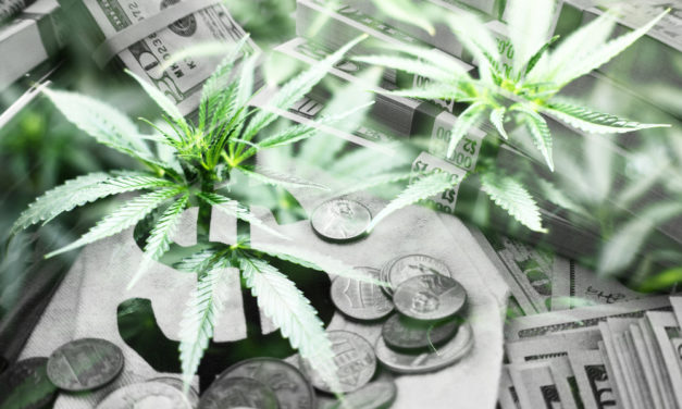 2020 Cannabis Market Report — Grab Shares of This U.S. Producer
