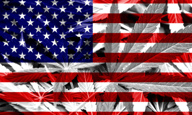 Buy Into the U.S. Cannabis Rally With This Operator