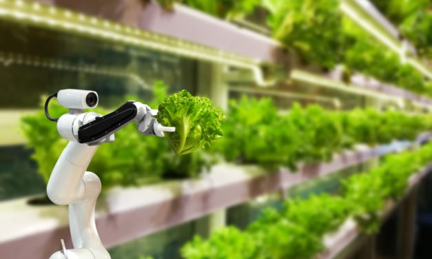 Cash in on a Sure Thing in the Post-Crisis World