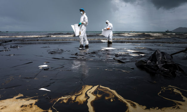 Oil Sector Doomed from This Bear Market