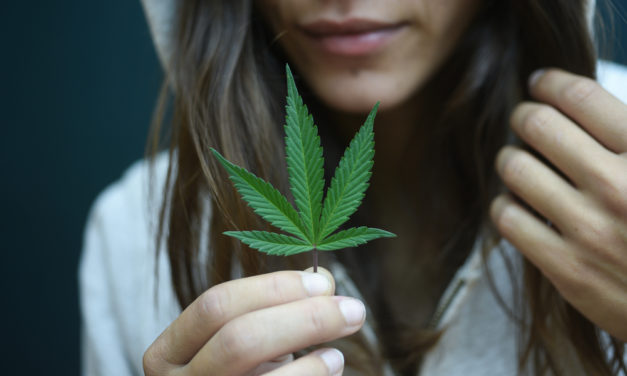 Here’s What to do in the Cannabis Sector Right Now