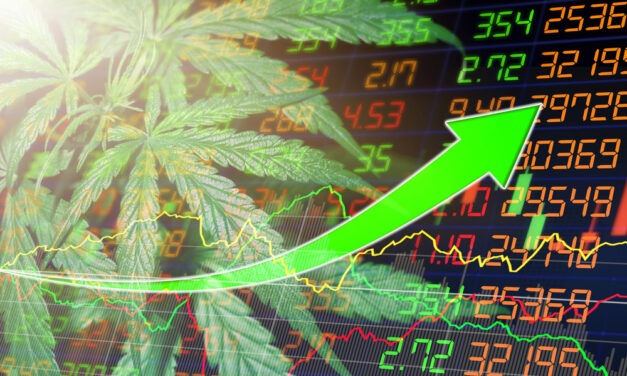 Pot Stocks Are Surging: Best Buys in This Risky Sector