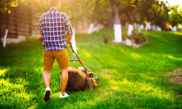 Don’t Fight the Fed. Mow the Lawn Instead