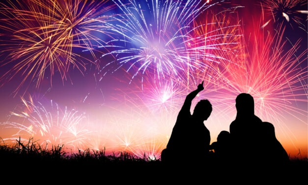 Poll: How Did You Watch Fireworks Last Night?