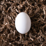 Mike trades the same exact investment every week, uncovering the associated options to deliver the highest-probability gains.