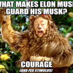 Tesla — where the price is made up, and the rules don’t apply. Today, we break down what value hunting even means in the Soma-shocked market.