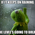 Correction? What correction? It’s business as usual in this volatile market … until the levee breaks, that is.