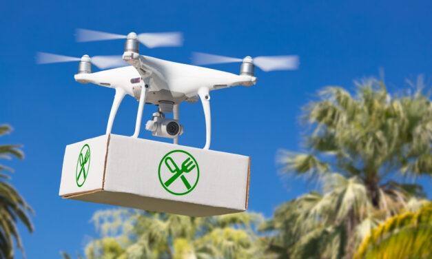 Poll: Would You Use a Delivery Drone Service?