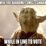 The madness is almost over, but what if Election Day plays out in cannabis’ favor? What stocks should you look at?