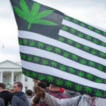 November 3 was a big day for the marijuana legalization movement.