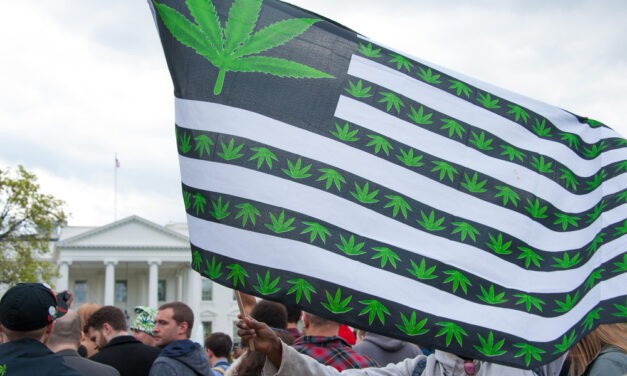 Poll: Should Marijuana and Other Drugs Be Decriminalized?
