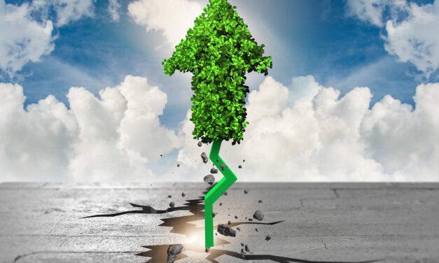 You Can’t Afford to Ignore Renewable Energy Stocks