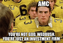 AMC Wedbush, not God just an investment firm meme