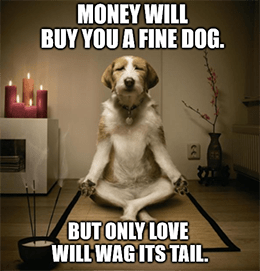 Money will buy fine dog only love wags its tail meme