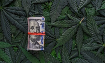 Don’t Get Caught Up — Marijuana Stocks Are Overvalued